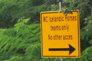 Bord Icelandic Horses
