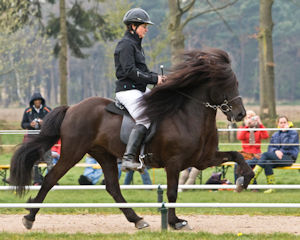 Carla in actie