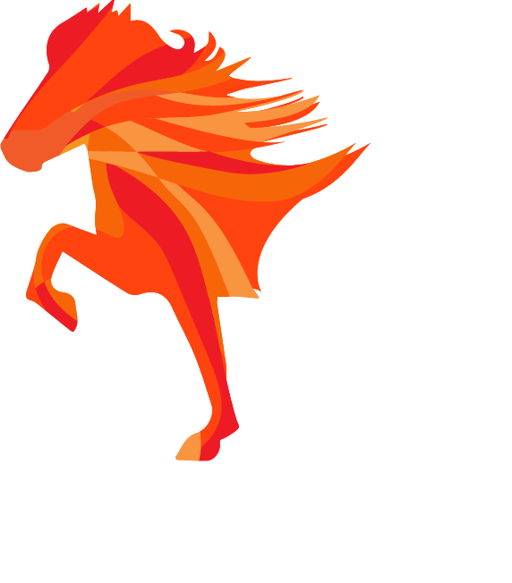 World Championships Icelandic Horses