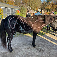 Uit de cursus myofasiale lijnen. Foto: Magritta Holtman