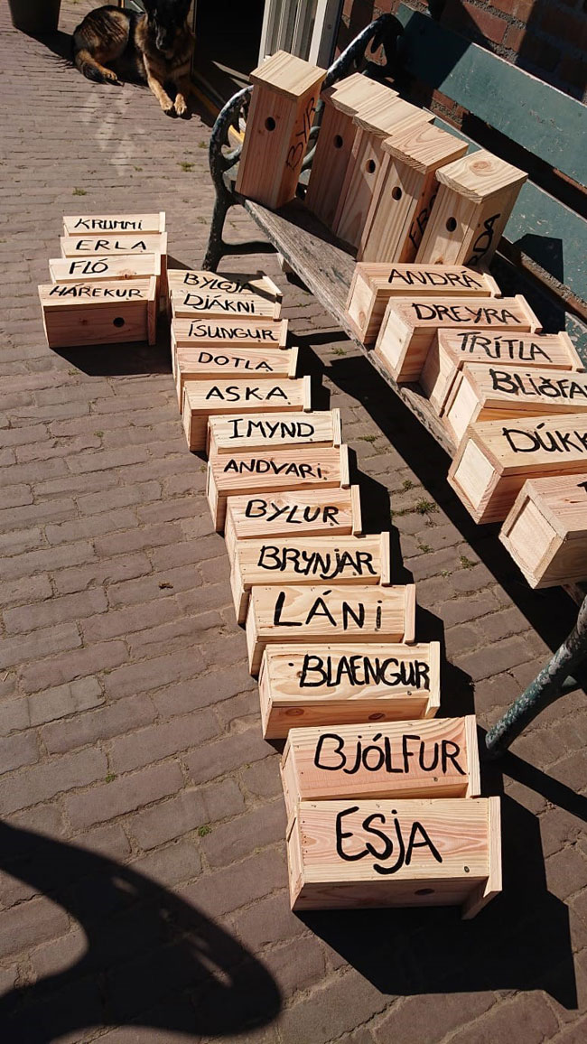 Vogelhuisjes met namen van Breidablikpaarden